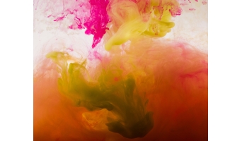 Professional Analysis: Dye-Sublimation Printing Technology Professional Analysis: Dye-Sublimation Printing Technology