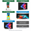 Custom Display Bundle - QT-A20260924-08